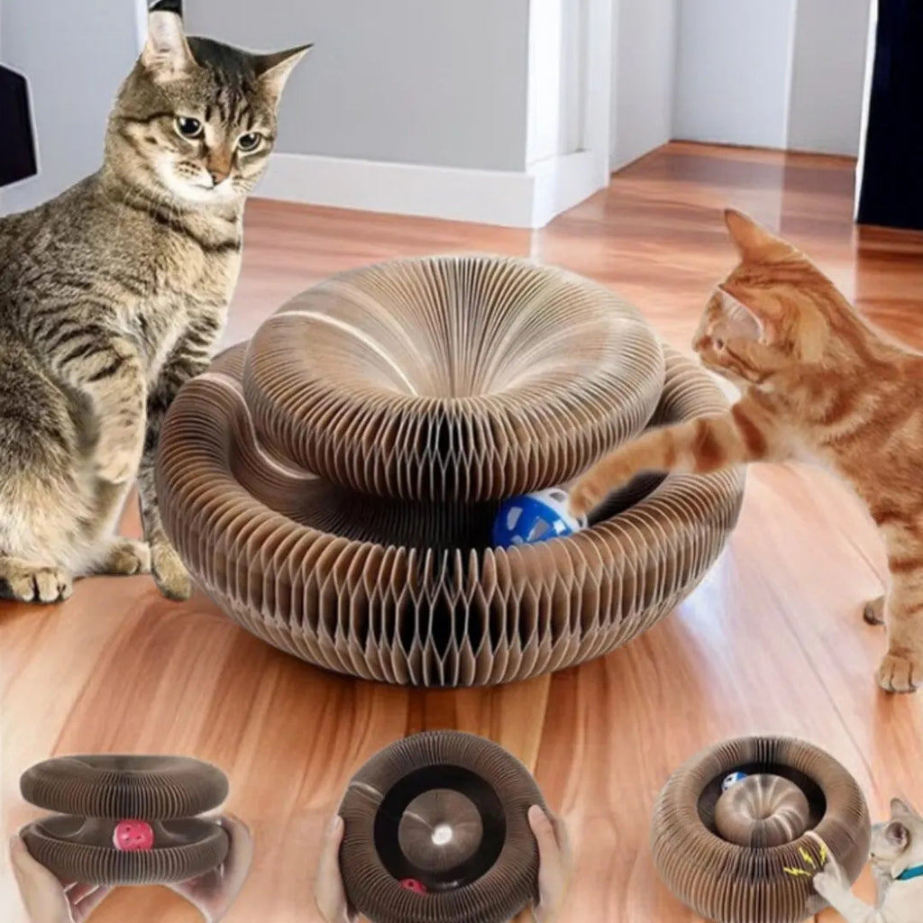 Juguete mágico para gatos: rascador con pelota, garras afiladas, estructura para trepar, rascador redondo de cartón corrugado para gatitos.